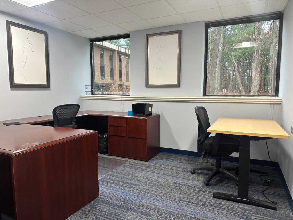 Modern office space with large windows, wooden desks, ergonomic chairs, abstract wall art, and carpeted flooring, offering a professional and minimalist work environment.